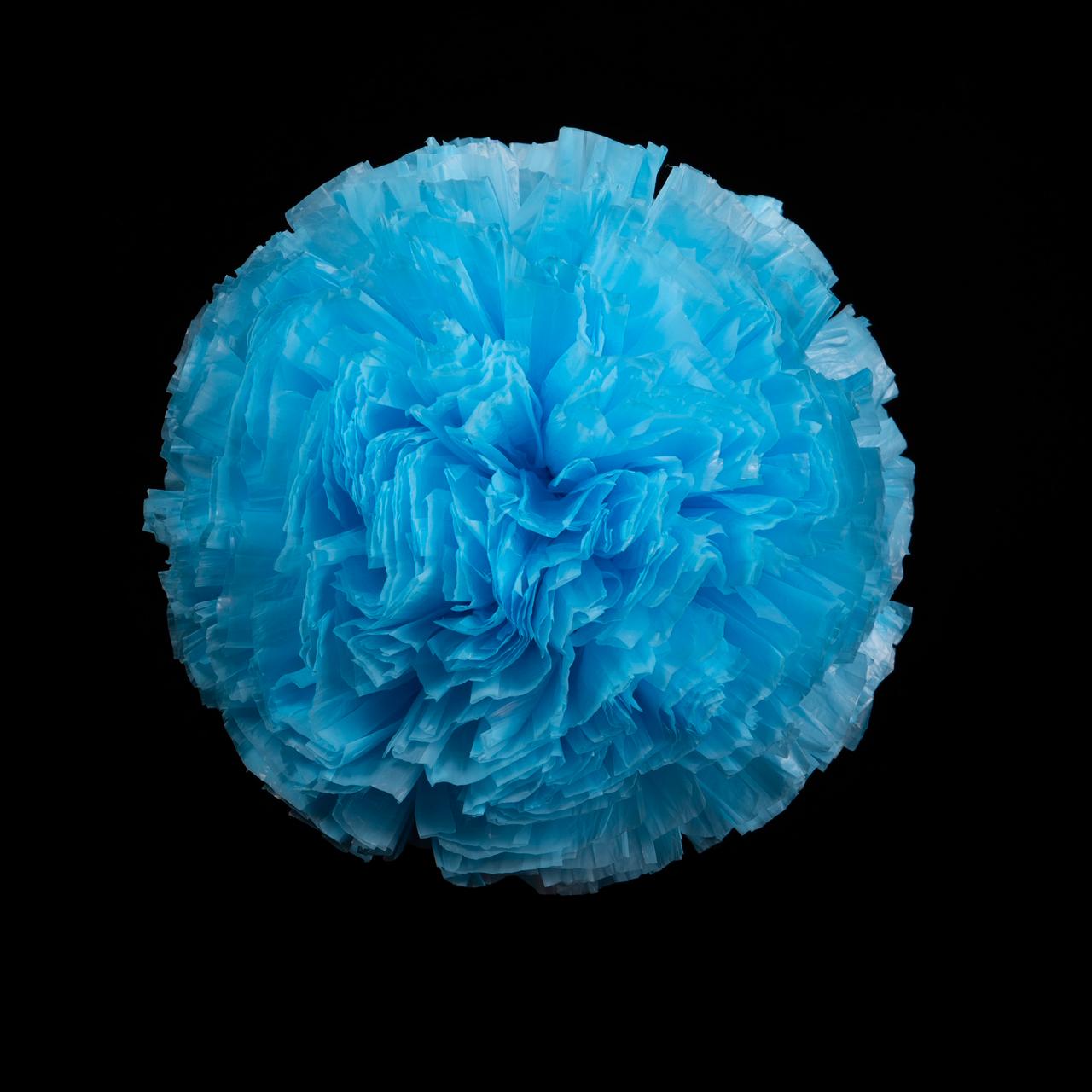 Pompón azul