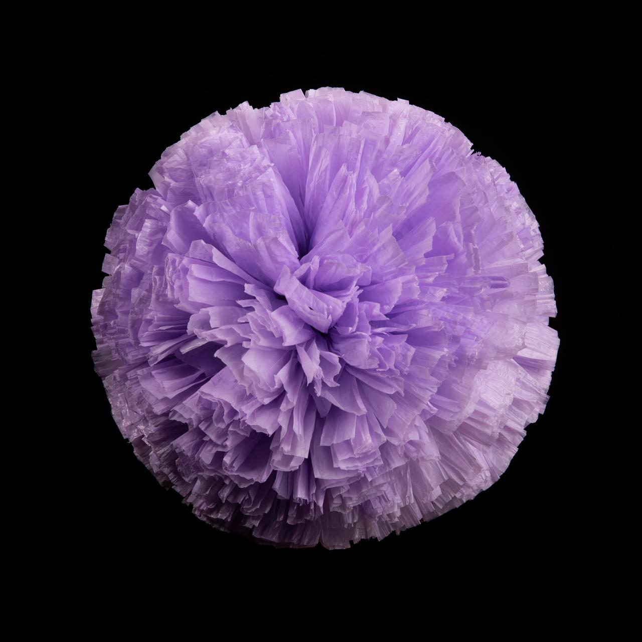 Pompón morado